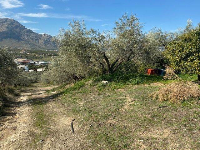 Αγροτεμάχια 15.000 τ.μ. προς πώληση, Άκοβα