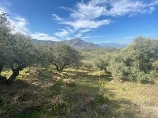 Αγροτεμάχια 15.000 τ.μ. προς πώληση, Άκοβα-thumb-6