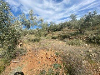 Αγροτεμάχια 15.000 τ.μ. προς πώληση, Άκοβα-thumb-14