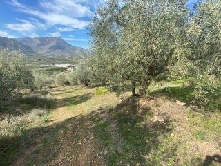 Αγροτεμάχια 15.000 τ.μ. προς πώληση, Άκοβα-thumb-5