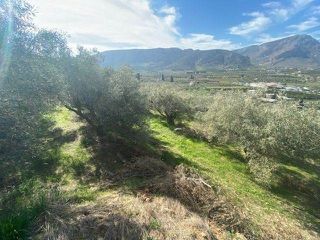 Αγροτεμάχια 15.000 τ.μ. προς πώληση, Άκοβα-thumb-21