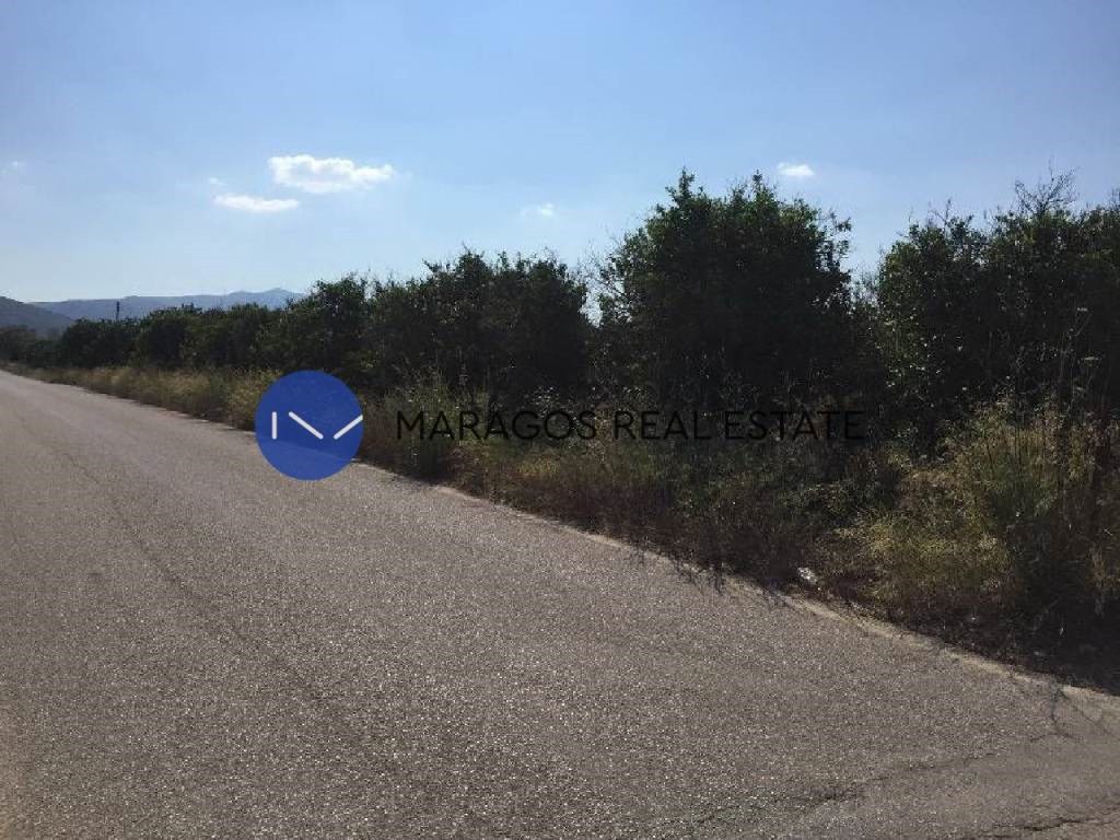 Αγροτεμάχια 5.000 τ.μ. για πώληση, Αργολίδα, Μιδέα