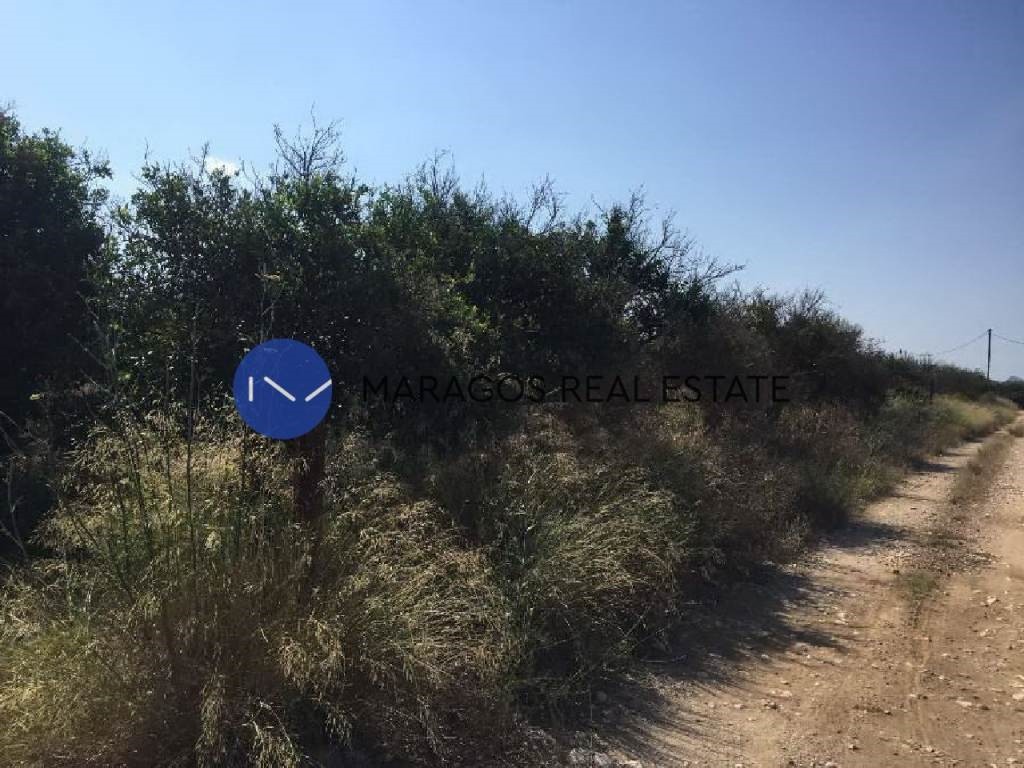 Αγροτεμάχια 5.000 τ.μ. προς πώληση, Πουλλακίδα