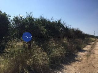 Αγροτεμάχια 5.000 τ.μ. για πώληση, Αργολίδα, Μιδέα-thumb-1