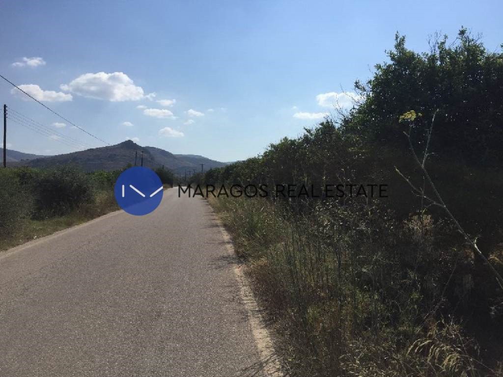 Αγροτεμάχια 5.000 τ.μ. προς πώληση, Πουλλακίδα