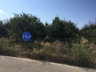 Αγροτεμάχια 5.000 τ.μ. για πώληση, Αργολίδα, Μιδέα-thumb-3