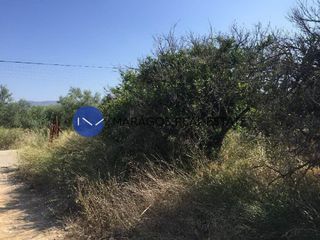 Αγροτεμάχια 5.000 τ.μ. για πώληση, Αργολίδα, Μιδέα-thumb-6
