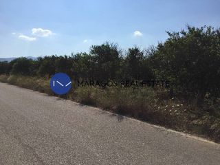 Αγροτεμάχια 5.000 τ.μ. για πώληση, Αργολίδα, Μιδέα-thumb-8