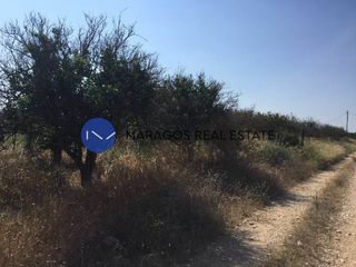 Αγροτεμάχια 5.000 τ.μ. για πώληση, Αργολίδα, Μιδέα-thumb-5