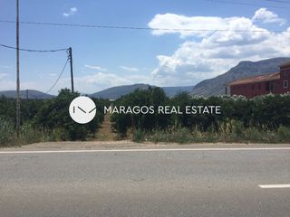 Αγροτεμάχια 10.000 τ.μ. για πώληση