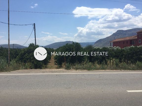 Αγροτεμάχια 10.000 τ.μ. για πώληση, Αργολίδα, Κουτσοπόδι