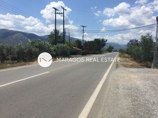 Αγροτεμάχια 10.000 τ.μ. προς πώληση, Πανόραμα Κουτσοποδίου-thumb-1