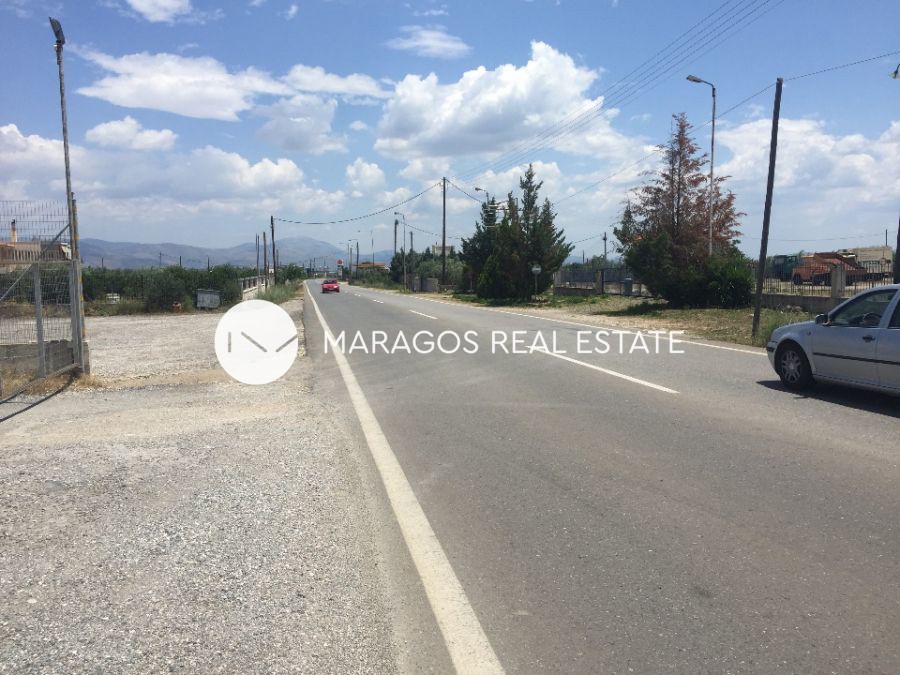 Αγροτεμάχια 10.000 τ.μ. προς πώληση, Πανόραμα Κουτσοποδίου