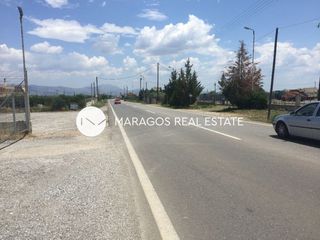 Αγροτεμάχια 10.000 τ.μ. προς πώληση, Πανόραμα Κουτσοποδίου-thumb-2