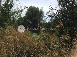 Οικόπεδο 2.000 τ.μ. για πώληση, Αργολίδα, Άργος-thumb-17
