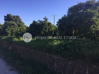 Οικόπεδο 4.000 τ.μ. προς πώληση, Κουρτάκι Άργους-thumb-7