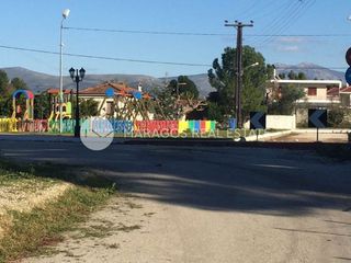 Οικόπεδο 4.000 τ.μ. προς πώληση, Κουρτάκι Άργους-thumb-11