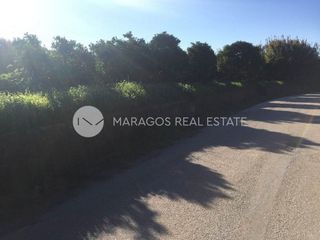 Οικόπεδο 4.000 τ.μ. προς πώληση, Κουρτάκι Άργους-thumb-2