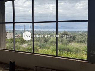 Κτίριο 300 τ.μ. για πώληση, Αργολίδα, Άργος-thumb-15