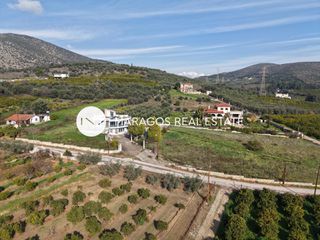 Μονοκατοικία 194 τ.μ. πρός πώληση, Αργολίδα, Άργος-thumb-22