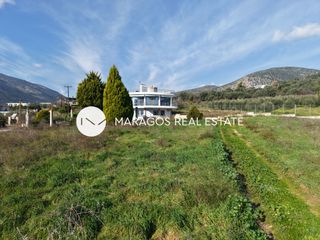 Μονοκατοικία 194 τ.μ. πρός πώληση, Αργολίδα, Άργος-thumb-11