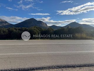 Αγροτεμάχια 14.500 τ.μ. για πώληση