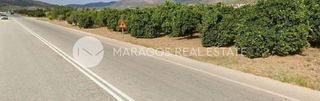 Αγροτεμάχια 14.500 τ.μ. για πώληση, Αργολίδα, Μυκήνες-thumb-6