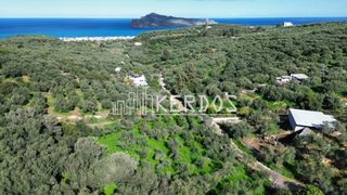 Οικόπεδο 4.074 τ.μ. για πώληση