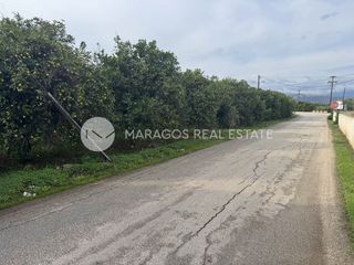 Οικόπεδο 2.546 τ.μ. για πώληση, Αργολίδα, Άργος-thumb-13