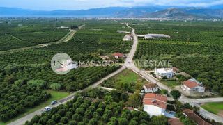 Οικόπεδο 2.546 τ.μ. για πώληση, Αργολίδα, Άργος-thumb-9
