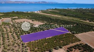 Αγροτεμάχια 5.024 τ.μ. για πώληση, Αργολίδα, Λέρνα-thumb-2