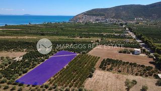 Αγροτεμάχια 5.024 τ.μ. για πώληση, Αργολίδα, Λέρνα-thumb-3