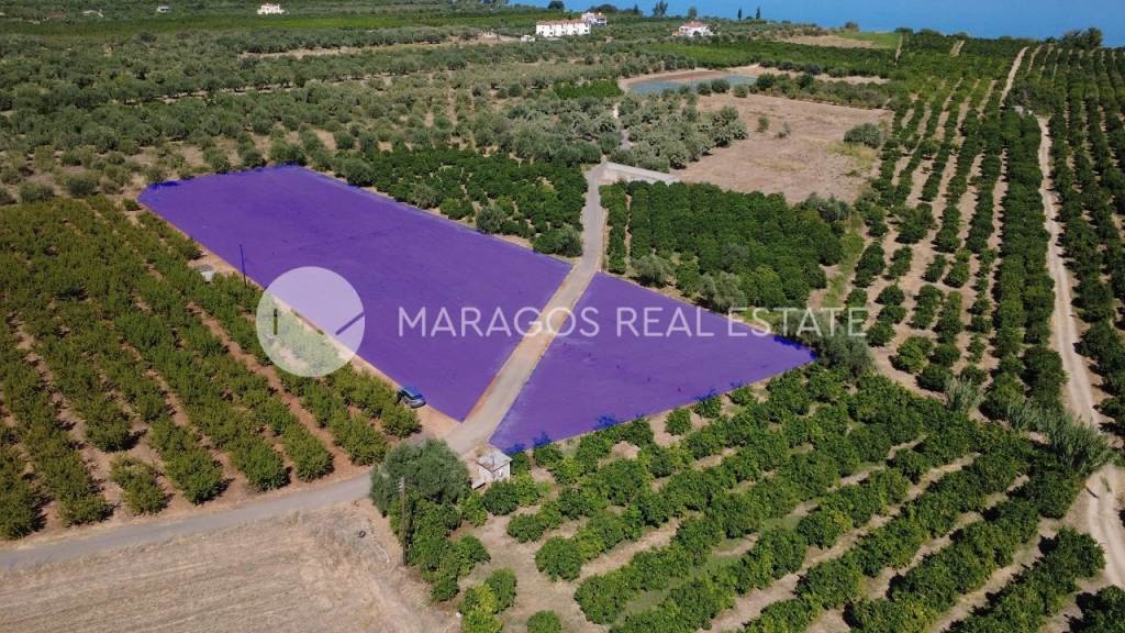 Αγροτεμάχια 5.024 τ.μ. για πώληση, Αργολίδα, Λέρνα