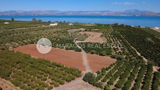 Αγροτεμάχια 5.024 τ.μ. για πώληση, Αργολίδα, Λέρνα-thumb-7