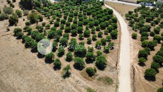 Οικόπεδο 1.000 τ.μ. προς πώληση, Πυργέλλα-thumb-13