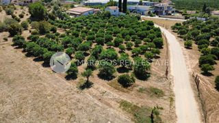 Οικόπεδο 1.000 τ.μ. προς πώληση, Πυργέλλα-thumb-12