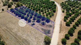 Οικόπεδο 1.000 τ.μ. προς πώληση, Πυργέλλα-thumb-11