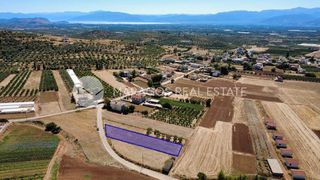 Οικόπεδο 1.300 τ.μ. για πώληση, Αργολίδα, Μιδέα-thumb-10