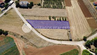Οικόπεδο 1.300 τ.μ. για πώληση, Αργολίδα, Μιδέα-thumb-13