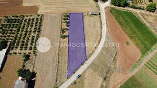 Οικόπεδο 1.300 τ.μ. για πώληση, Αργολίδα, Μιδέα-thumb-21