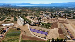 Οικόπεδο 1.300 τ.μ. για πώληση, Αργολίδα, Μιδέα-thumb-11