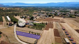 Οικόπεδο 1.300 τ.μ. για πώληση, Αργολίδα, Μιδέα-thumb-7