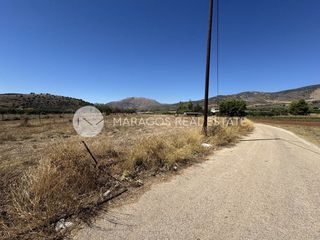 Οικόπεδο 1.300 τ.μ. για πώληση, Αργολίδα, Μιδέα-thumb-20