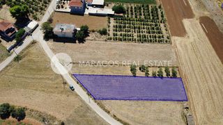 Οικόπεδο 1.300 τ.μ. για πώληση, Αργολίδα, Μιδέα-thumb-12