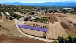 Οικόπεδο 1.300 τ.μ. για πώληση, Αργολίδα, Μιδέα-thumb-4