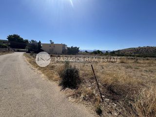 Οικόπεδο 1.300 τ.μ. για πώληση, Αργολίδα, Μιδέα-thumb-18