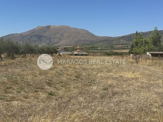 Οικόπεδο 1.300 τ.μ. για πώληση, Αργολίδα, Μιδέα-thumb-14