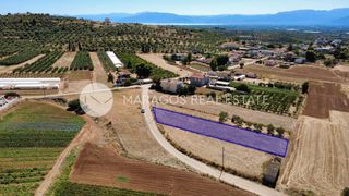 Οικόπεδο 1.300 τ.μ. για πώληση, Αργολίδα, Μιδέα-thumb-1