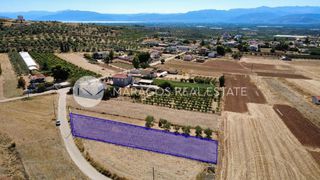 Οικόπεδο 1.300 τ.μ. για πώληση, Αργολίδα, Μιδέα-thumb-5
