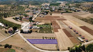 Οικόπεδο 1.300 τ.μ. για πώληση, Αργολίδα, Μιδέα-thumb-22